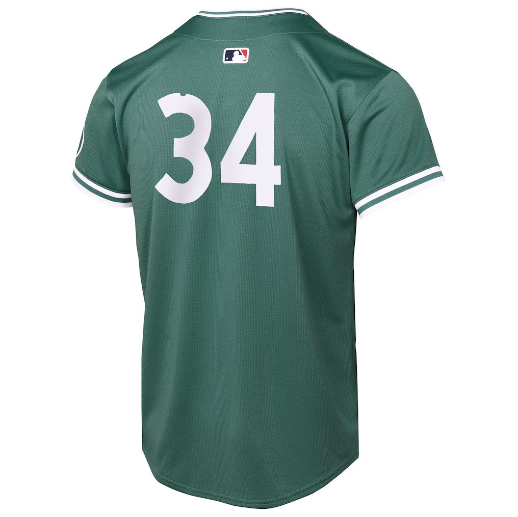 Youth Boston Red Sox David Ortiz Green City Connect 2025 Jersey