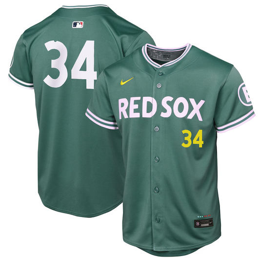 Youth Boston Red Sox David Ortiz Green City Connect 2025 Jersey